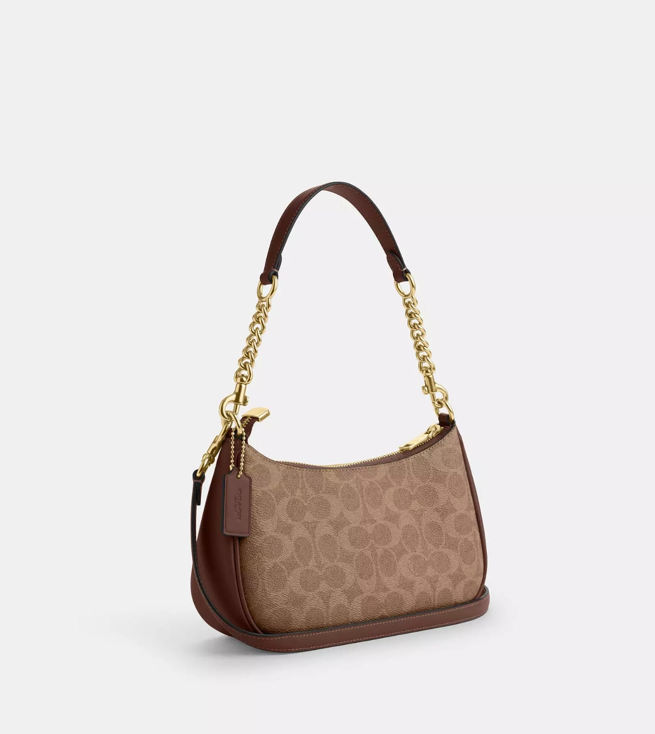 Coach Teri Shoulder Bag (Gold/Tan/Brown)